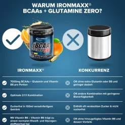 100% BCAAs + Glutamine Zero (500g)
