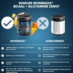 100% BCAAs + Glutamine Zero (500g)