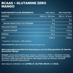 100% BCAAs + Glutamine Zero (500g)