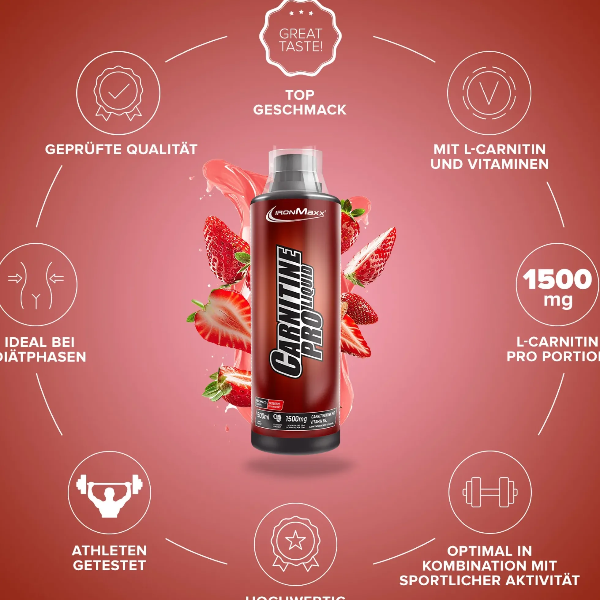 Carnitine Pro Liquid (500ml)