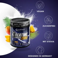 Creatine Flavoured Zero (500g)