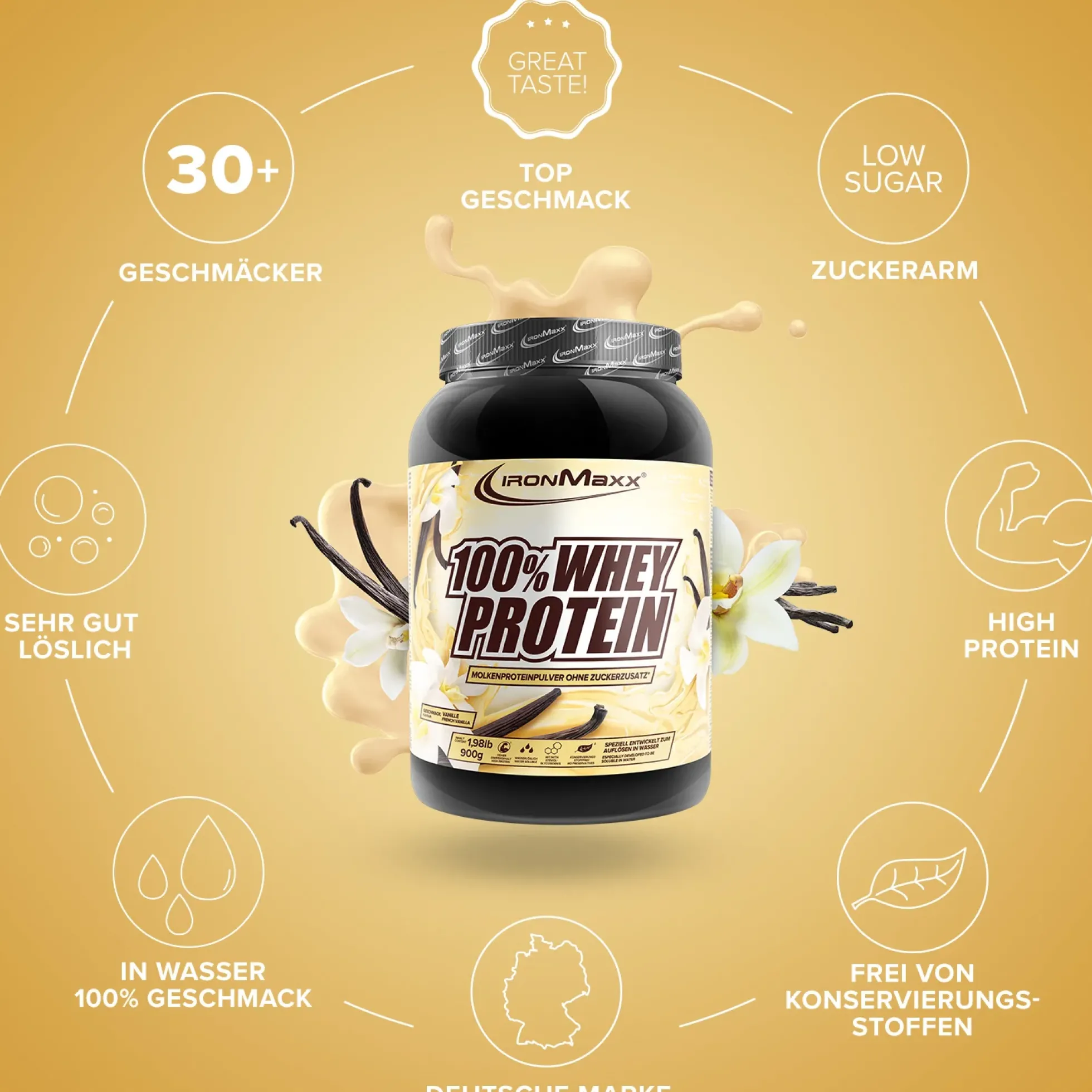 100% Whey Protein (900g)