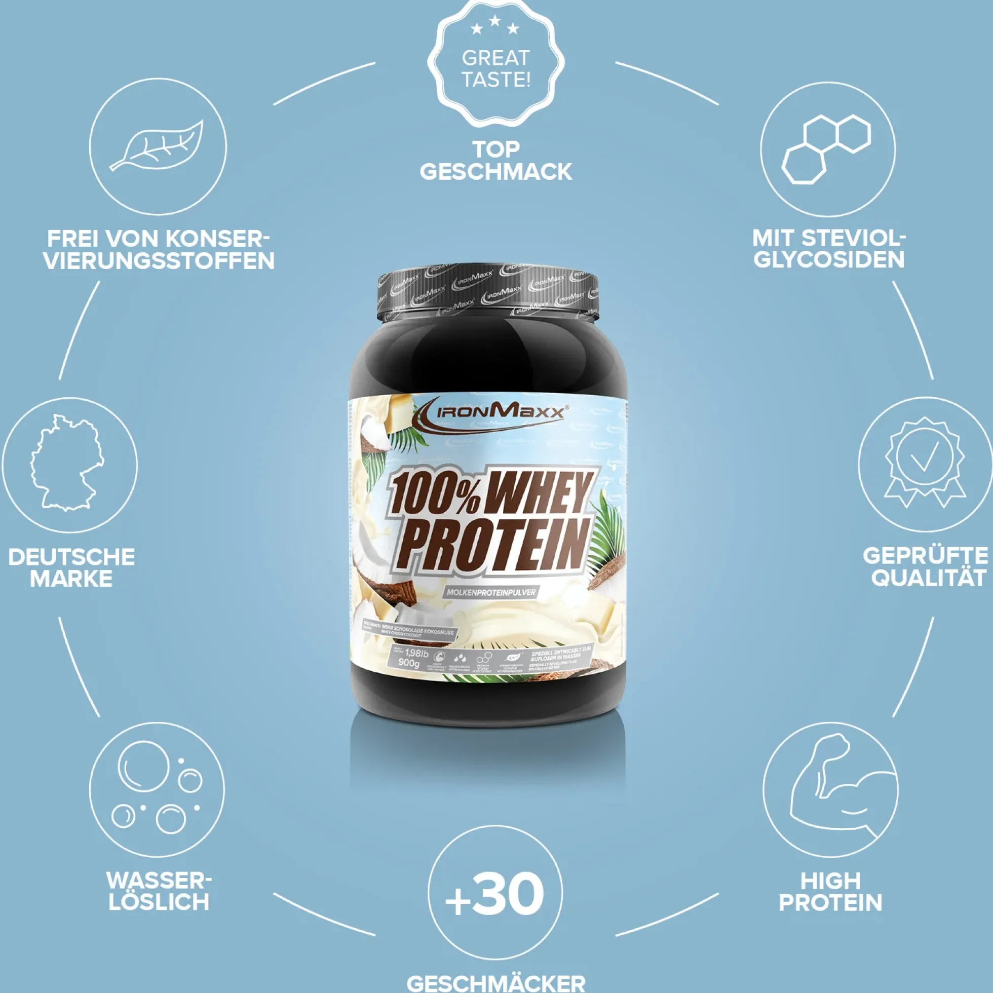 100% Whey Protein (900g)