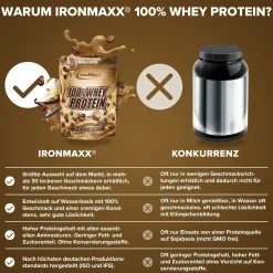 100% Whey Protein (500g)