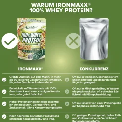 100% Whey Protein (500g)