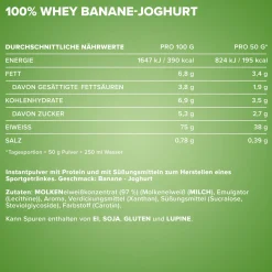 100% Whey Protein (900g)