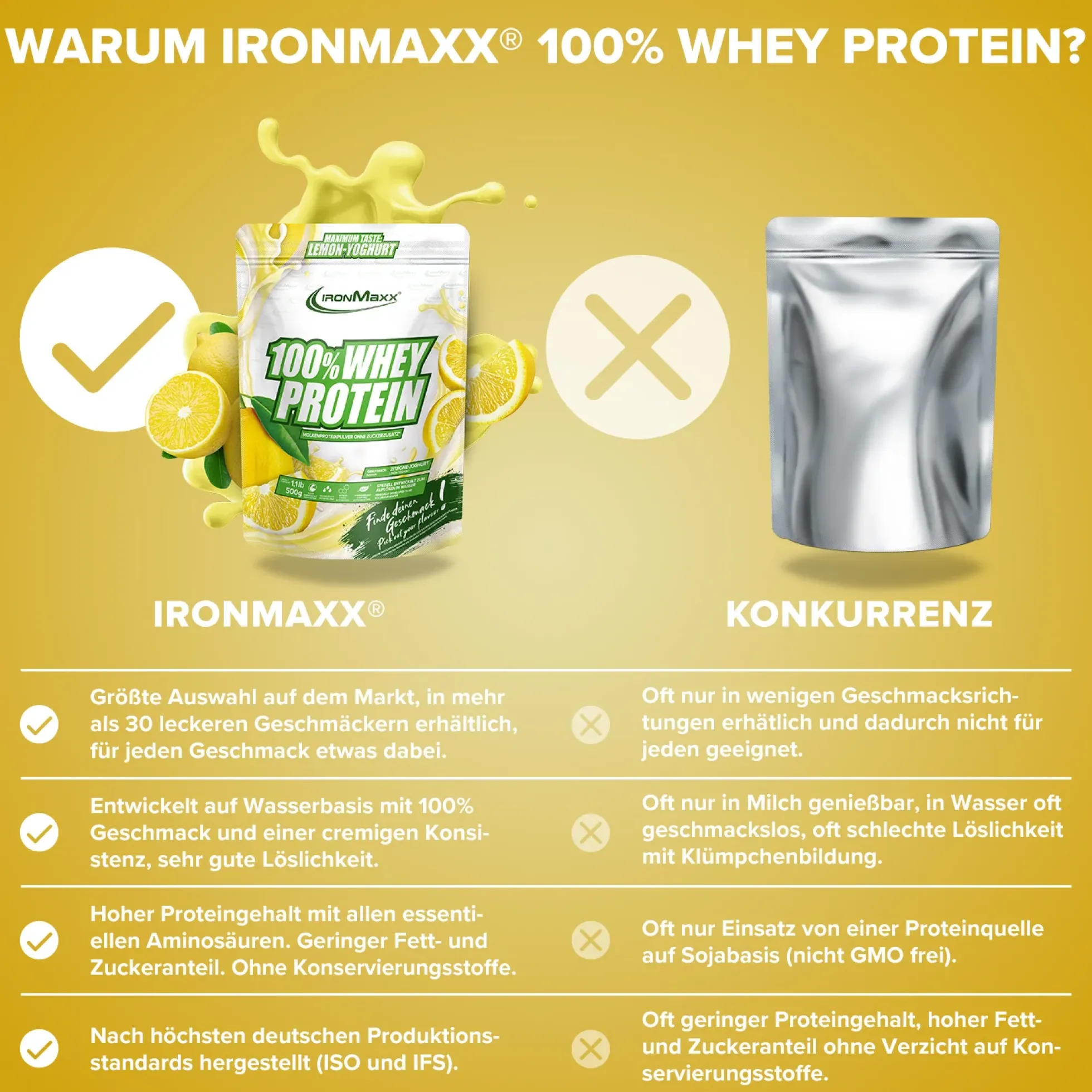 100% Whey Protein (500g)