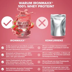 100% Whey Protein (500g)