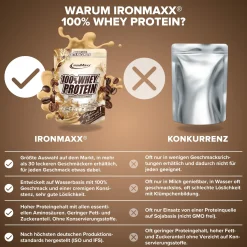 100% Whey Protein (500g)