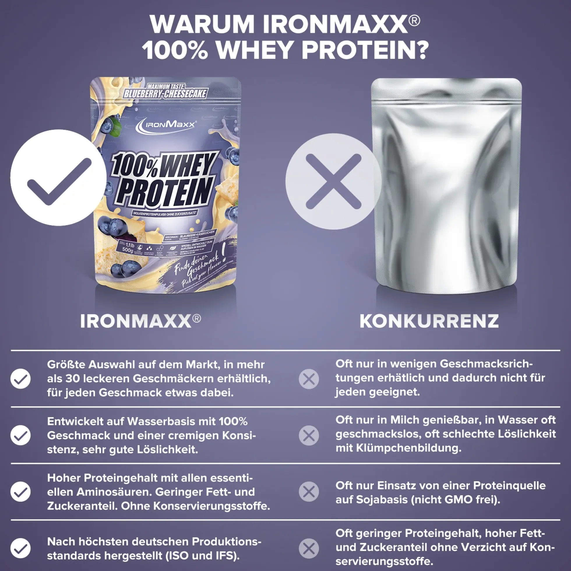 100% Whey Protein (500g)