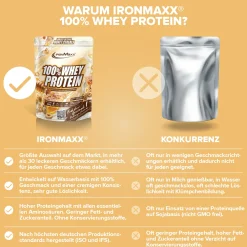100% Whey Protein (500g)