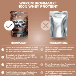 100% Whey Protein (500g)