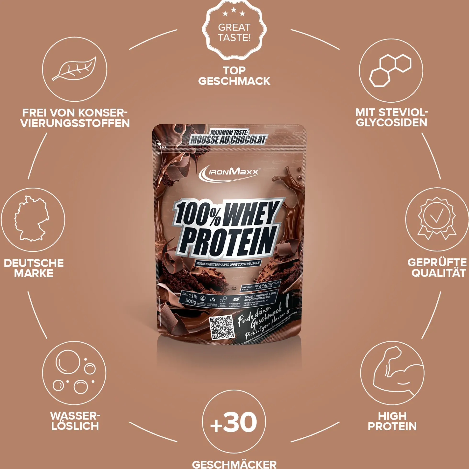 100% Whey Protein (500g)