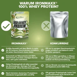 100% Whey Protein (500g)