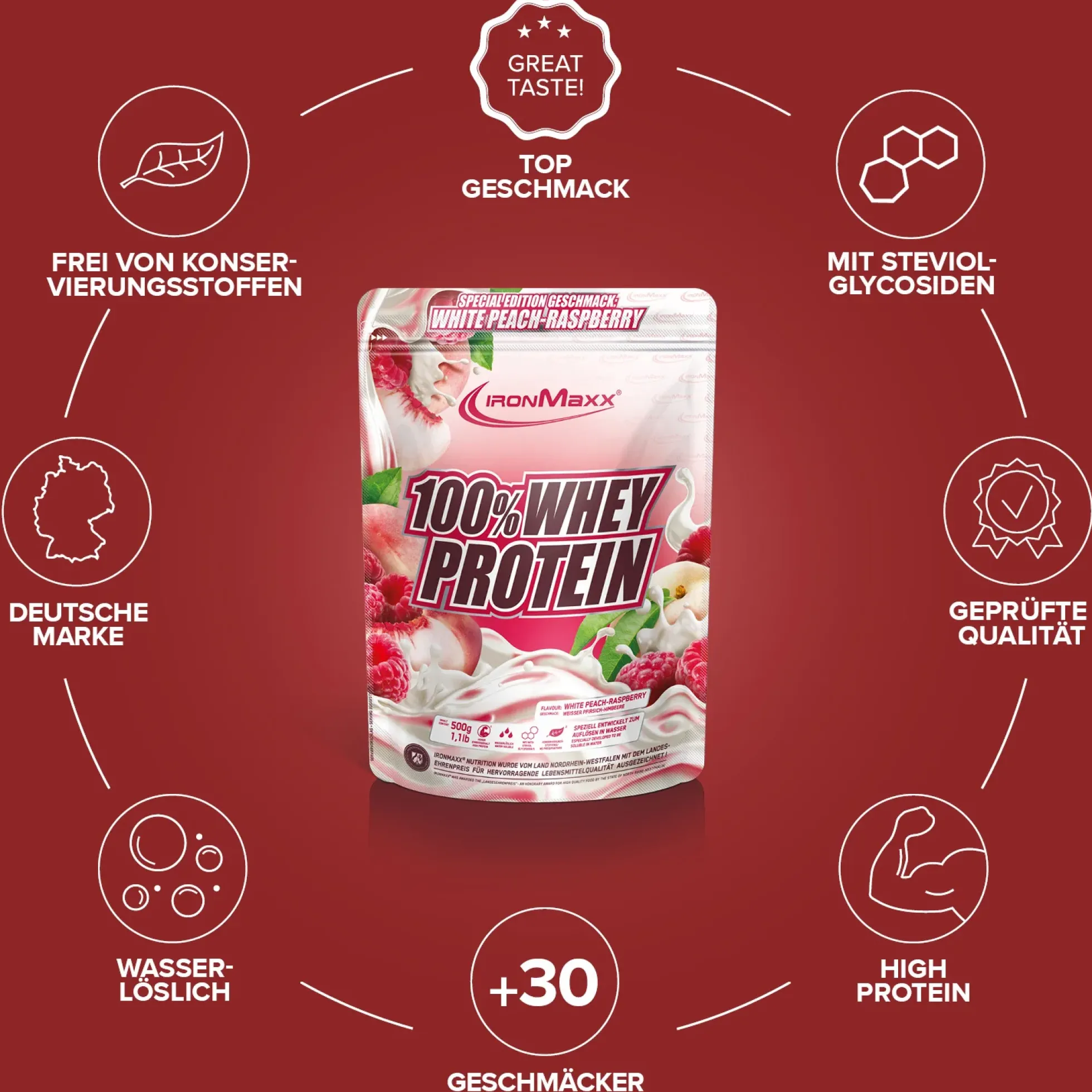 100% Whey Protein (500g)