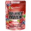 100% Whey Protein (500g)