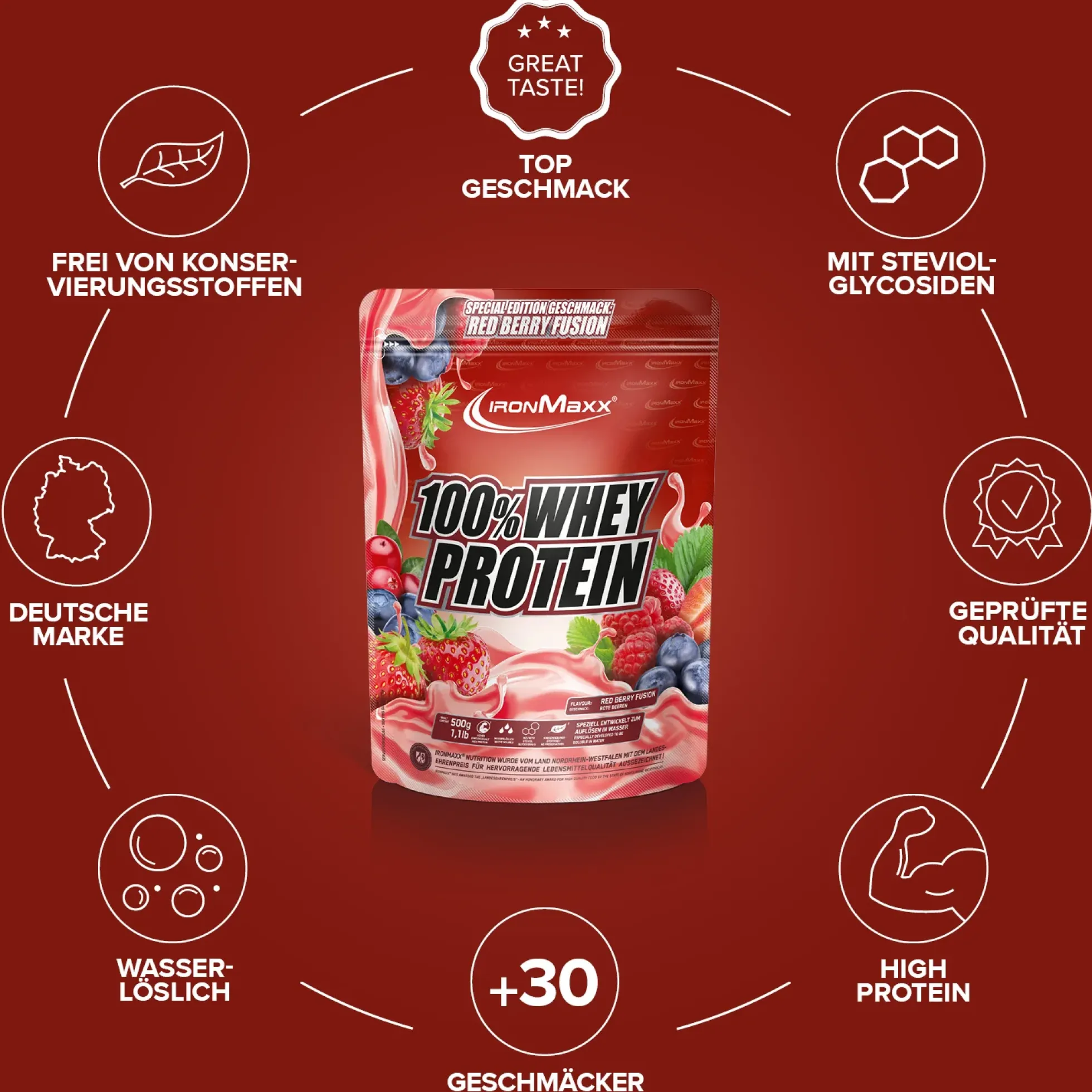 100% Whey Protein (500g)