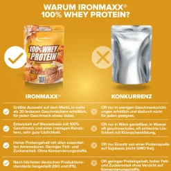100% Whey Protein (500g)
