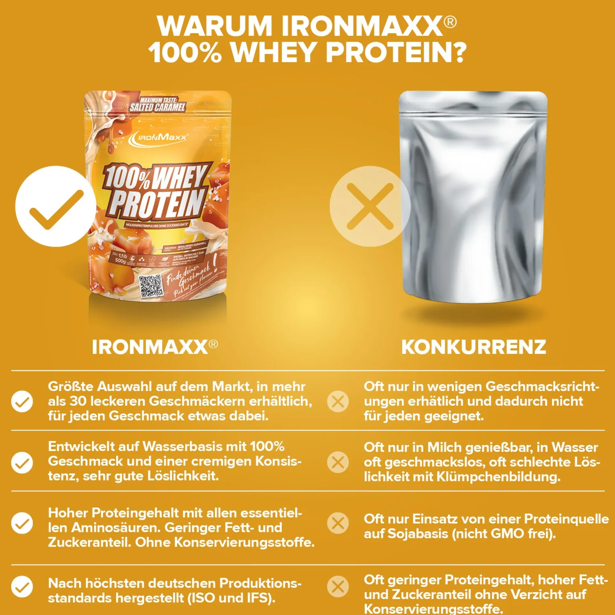 100% Whey Protein (500g)