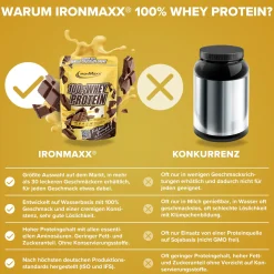 100% Whey Protein (500g)