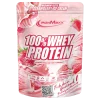 100% Whey Protein (500g)
