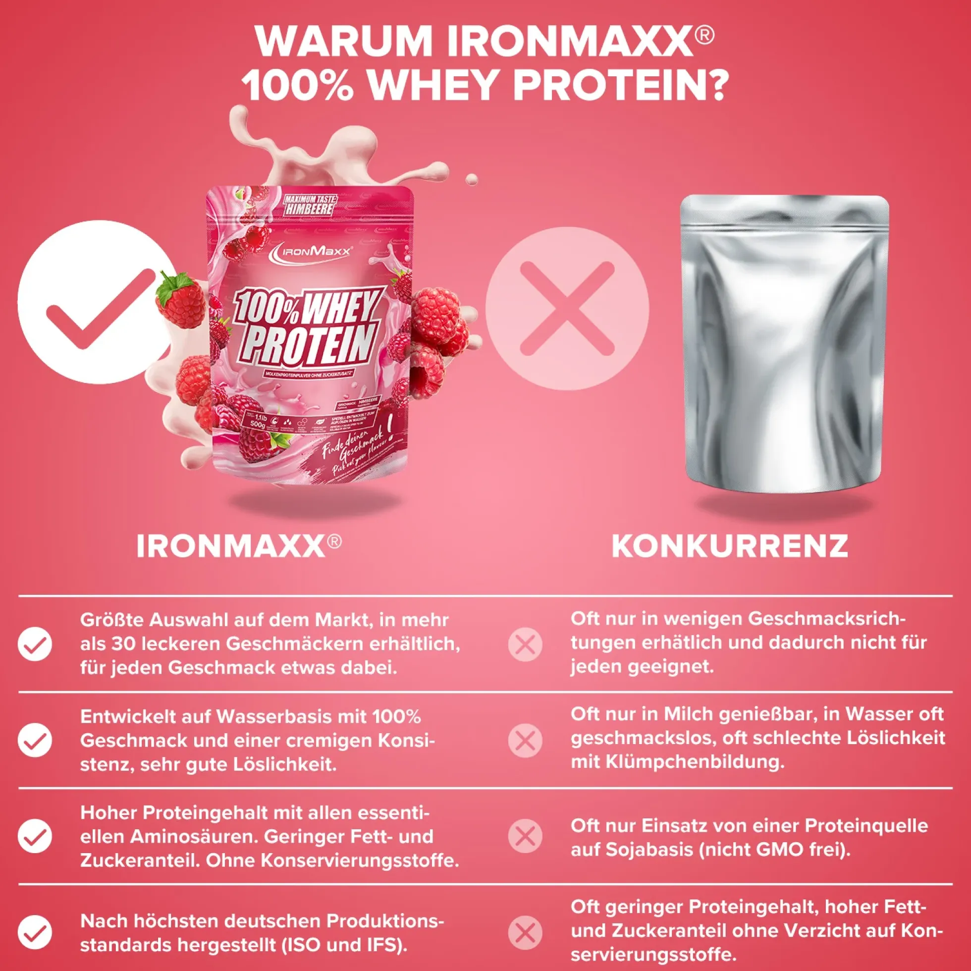 100% Whey Protein (500g)