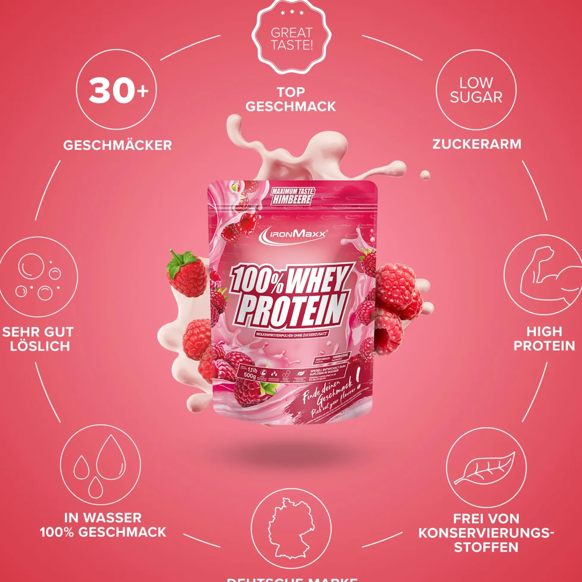 100% Whey Protein (500g)