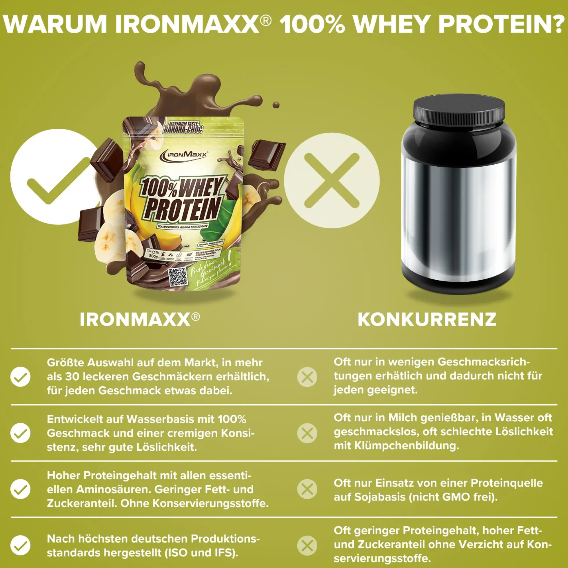 100% Whey Protein (500g)