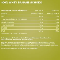 100% Whey Protein (500g)