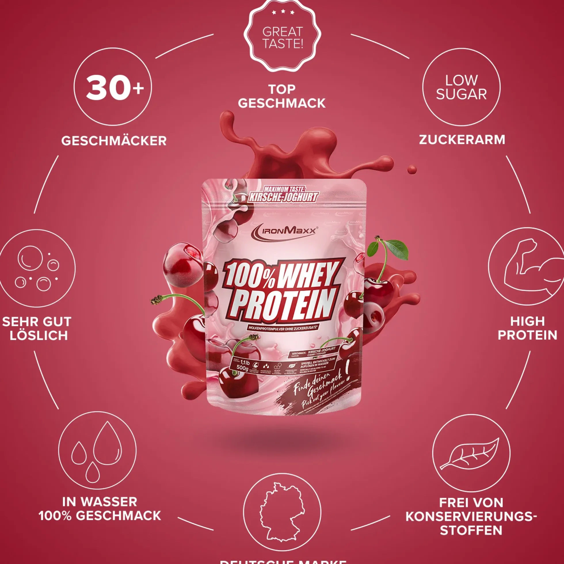 100% Whey Protein (500g)