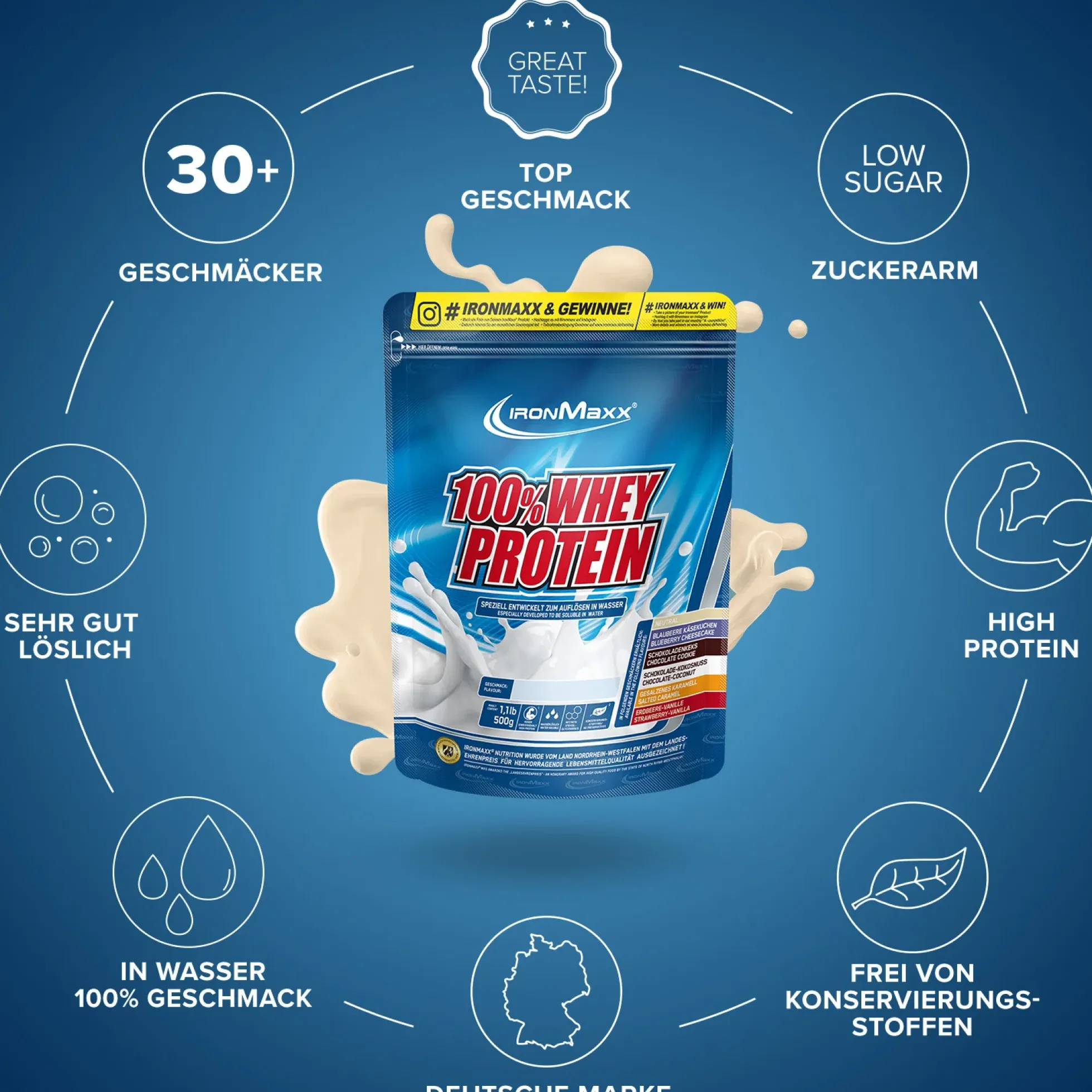 100% Whey Protein (500g)