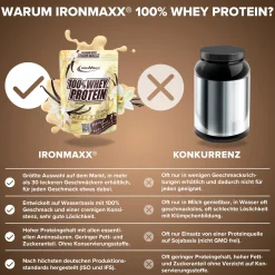 100% Whey Protein (500g)