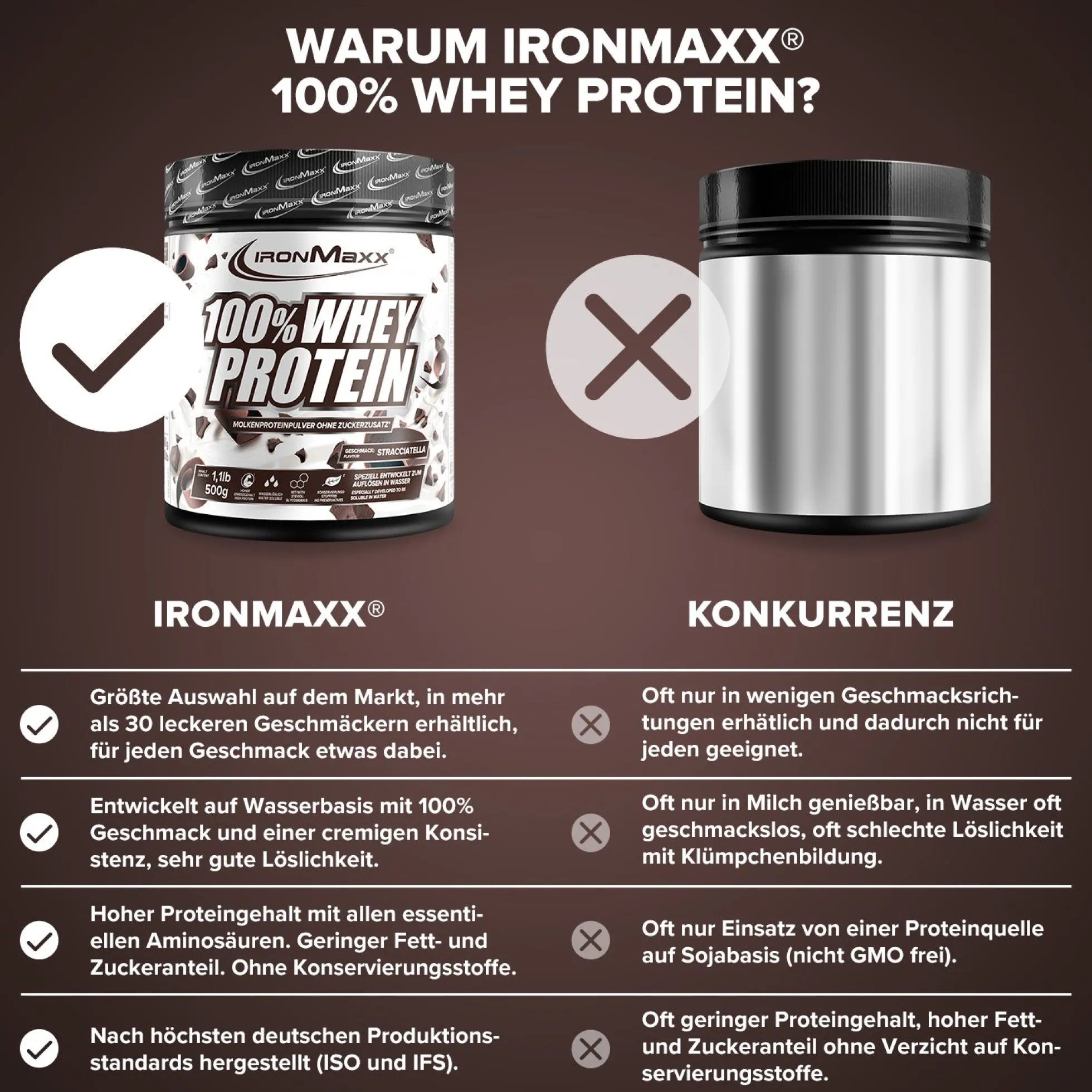 100% Whey Protein (500g)
